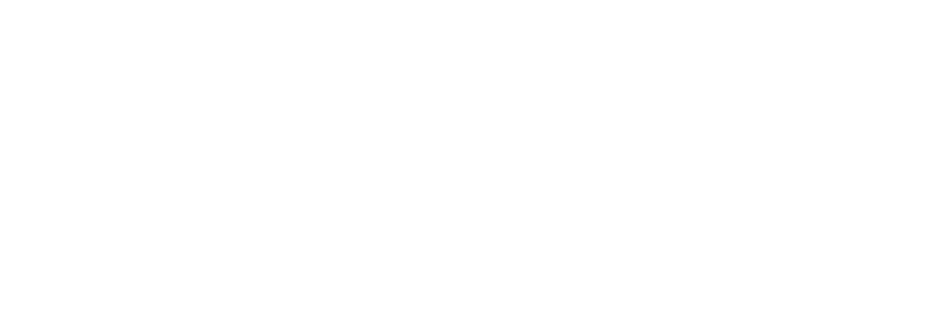 Nyrlo